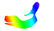 Reinhard Windoffer logo